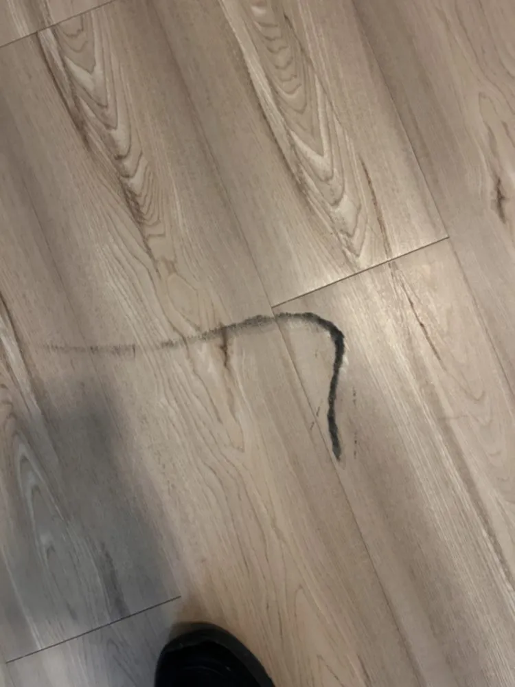 Slide of Cano Repair