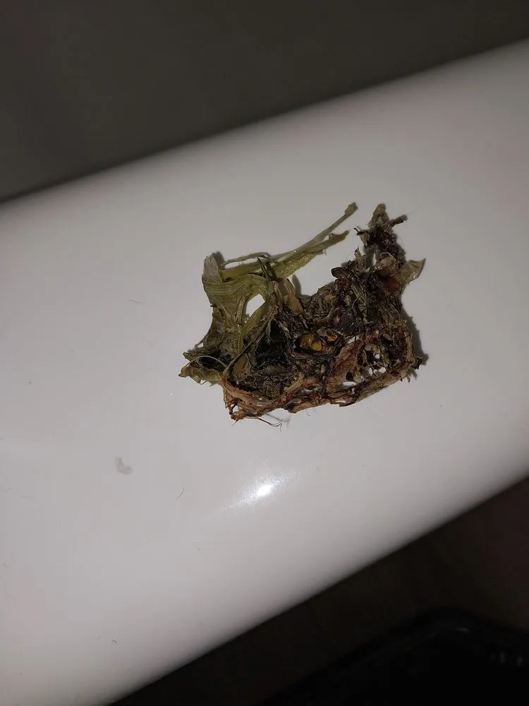 Slide of Canyon Plumbing & Heating