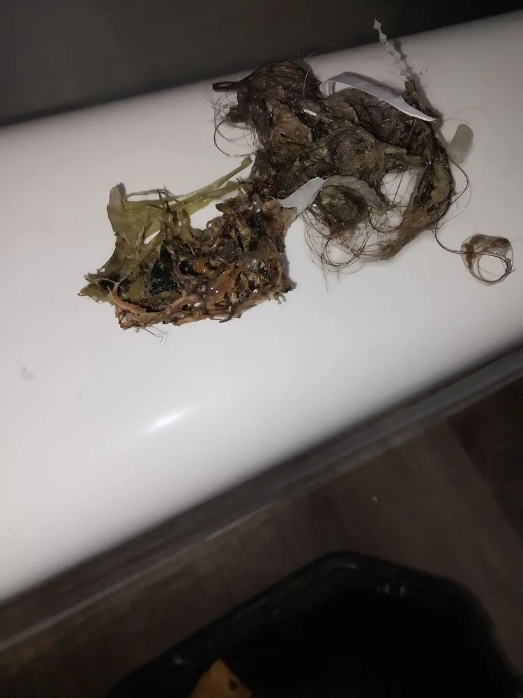 Slide of Canyon Plumbing & Heating