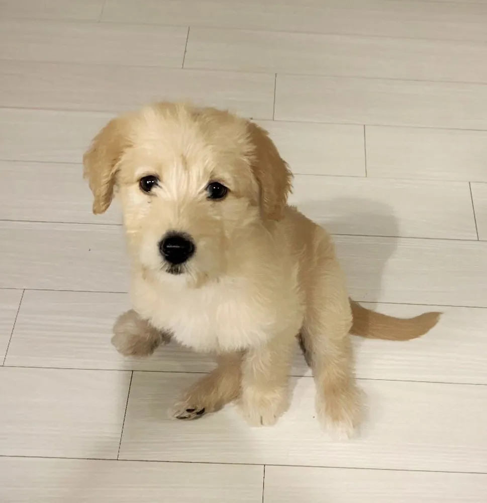 Slide of Canyon Plumbing