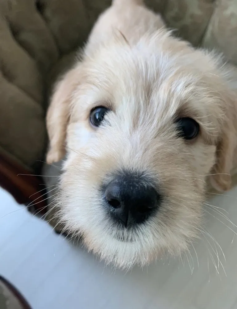 Slide of Canyon Plumbing