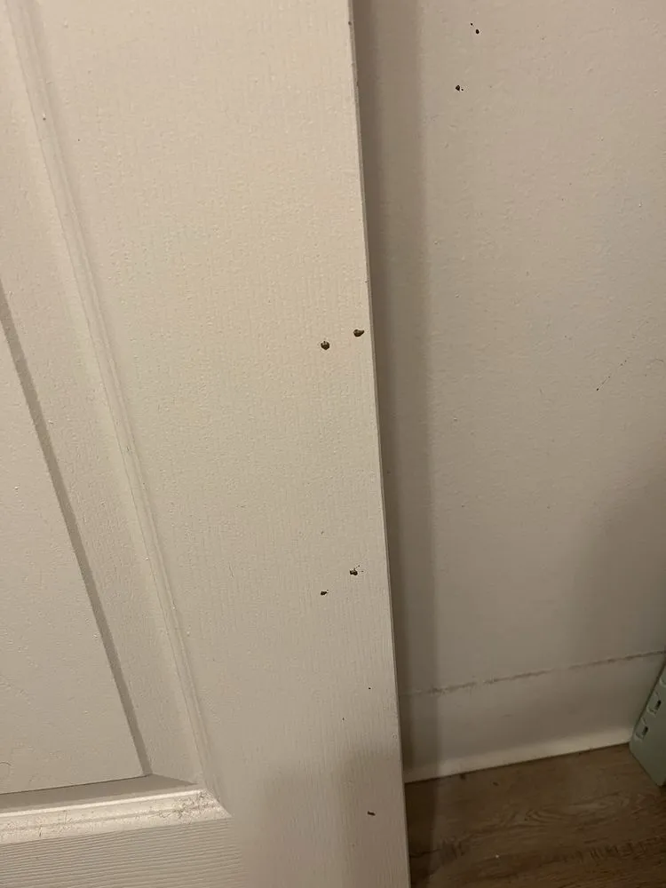 Slide of Capelli Plumbing & Drain Cleaning