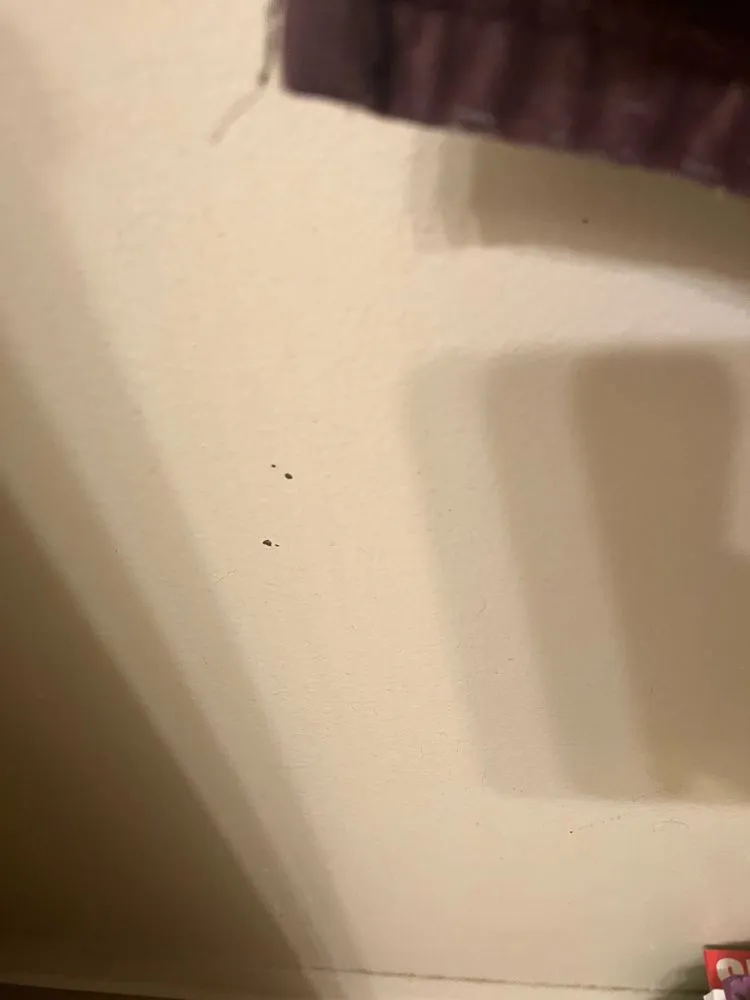 Slide of Capelli Plumbing & Drain Cleaning