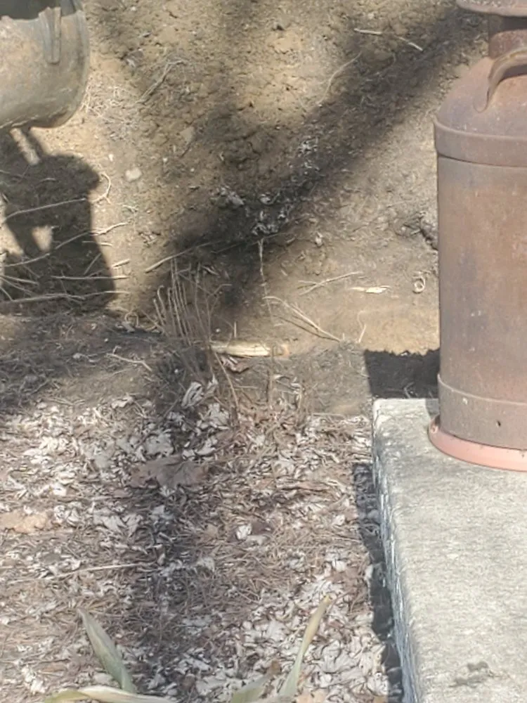 Slide of Capital City Handyman Services