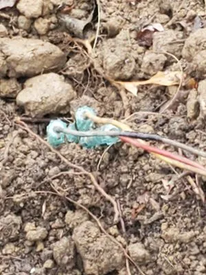 Capital City Handyman Services