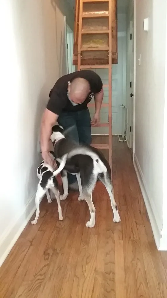 Slide of Capital City Plumbing and Drain