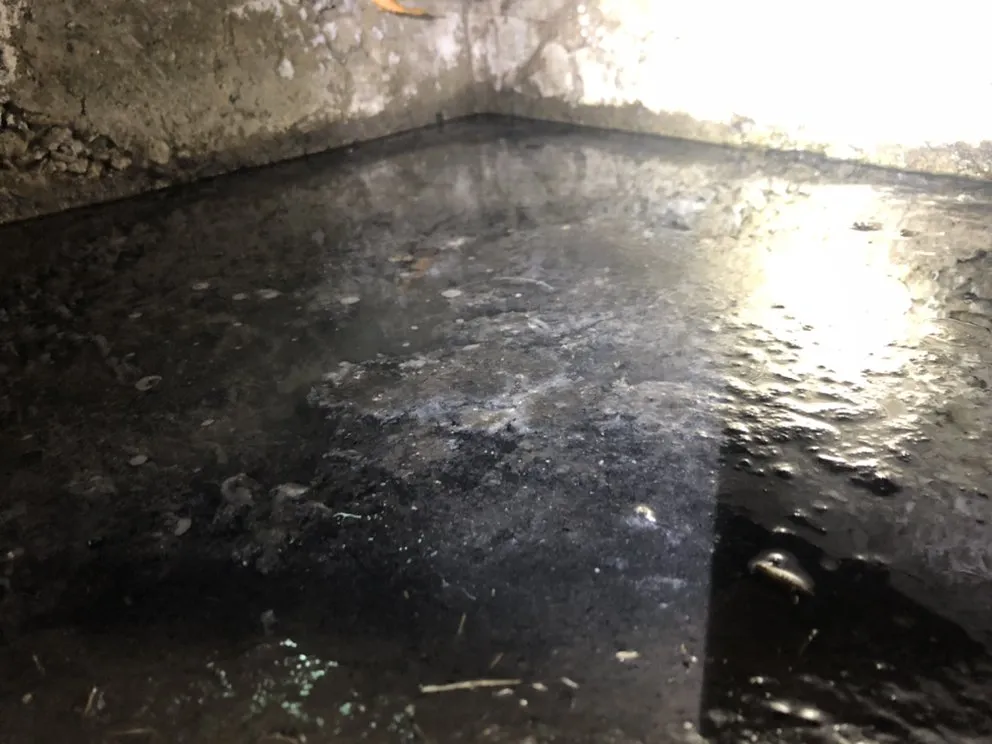 Professional emergency plumbing in San Jose, CA by Capitol Plumbing & Hydro-Jetting Service