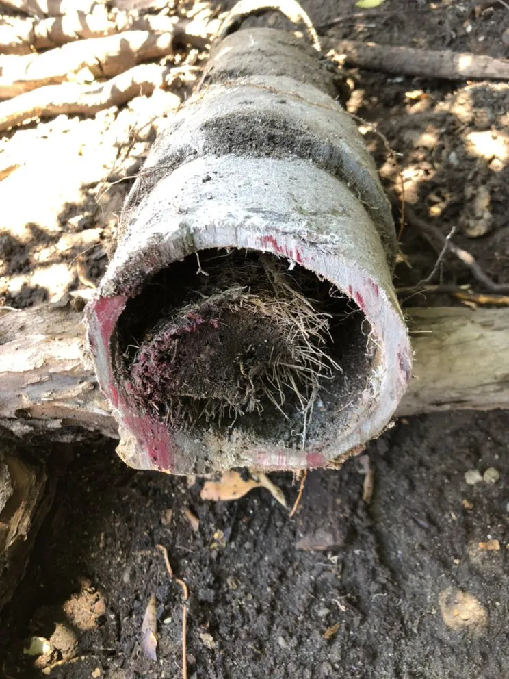 Expert pipe repair experts serving San Jose, CA - Capitol Plumbing & Hydro-Jetting Service