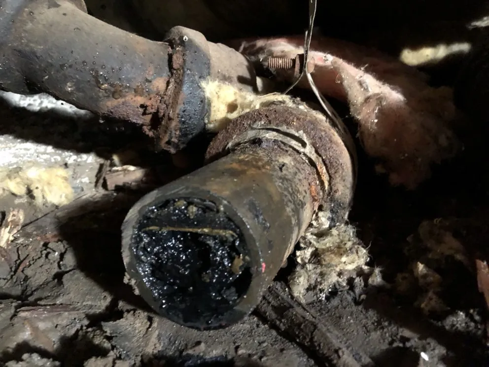 Reliable drain cleaning service in San Jose, CA - Capitol Plumbing & Hydro-Jetting Service