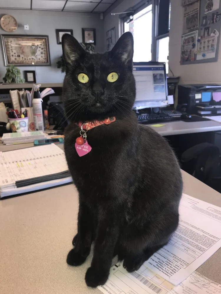 Slide of Cardinal Plumbing