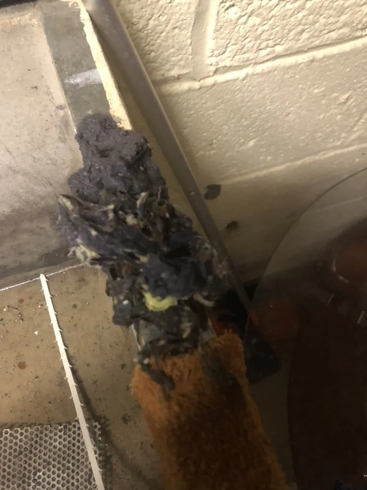 Reliable emergency plumbing experts serving Rutherford, NJ - Cardinal Sewer And Drain