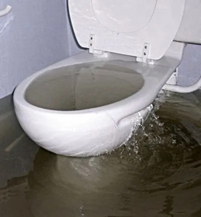 Top-rated drain cleaning service in Rutherford, NJ - Cardinal Sewer And Drain