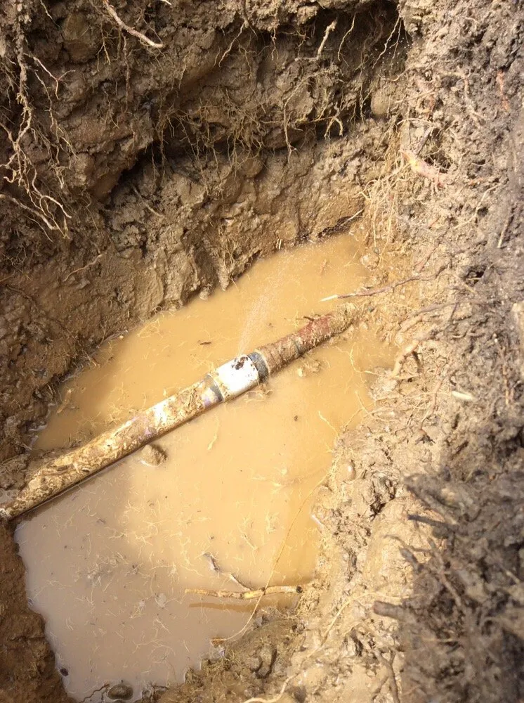 Slide of Care PLUS Plumbing & Drains