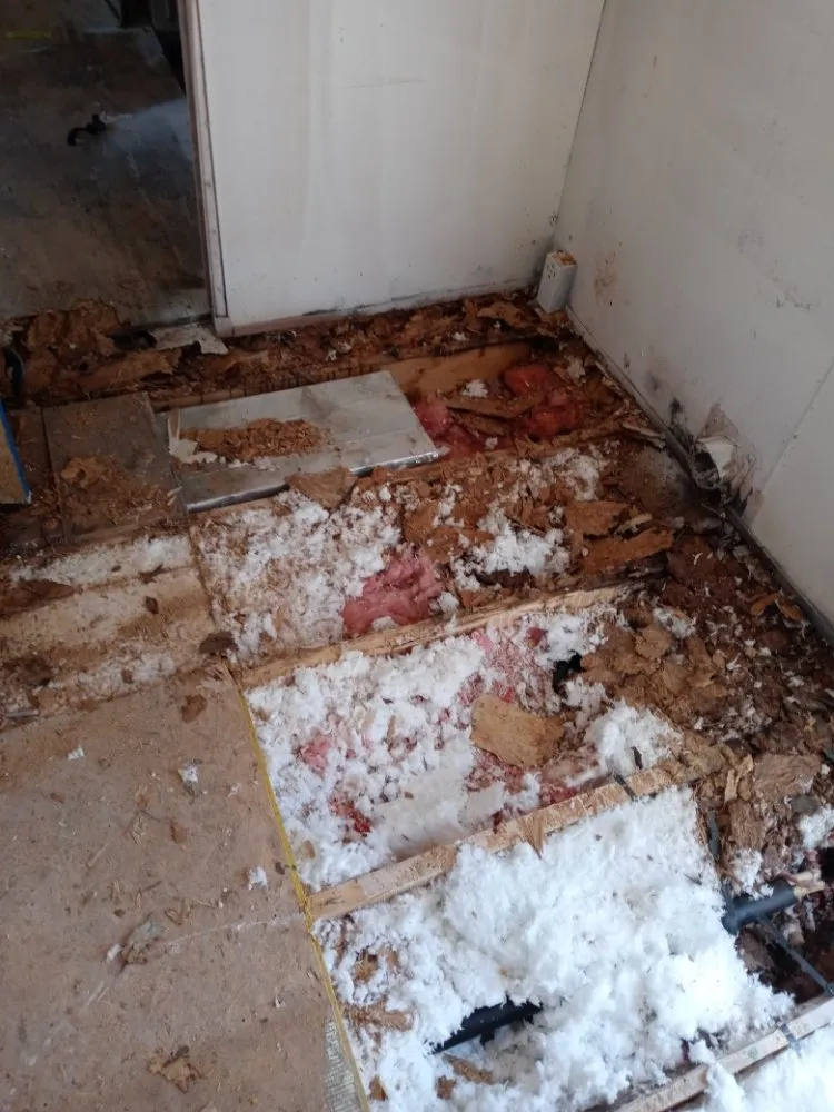 Slide of Carico Paint & Remodel