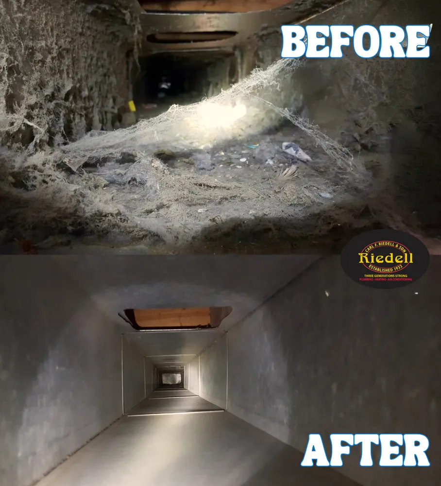 Slide of Carl F Riedell & Son