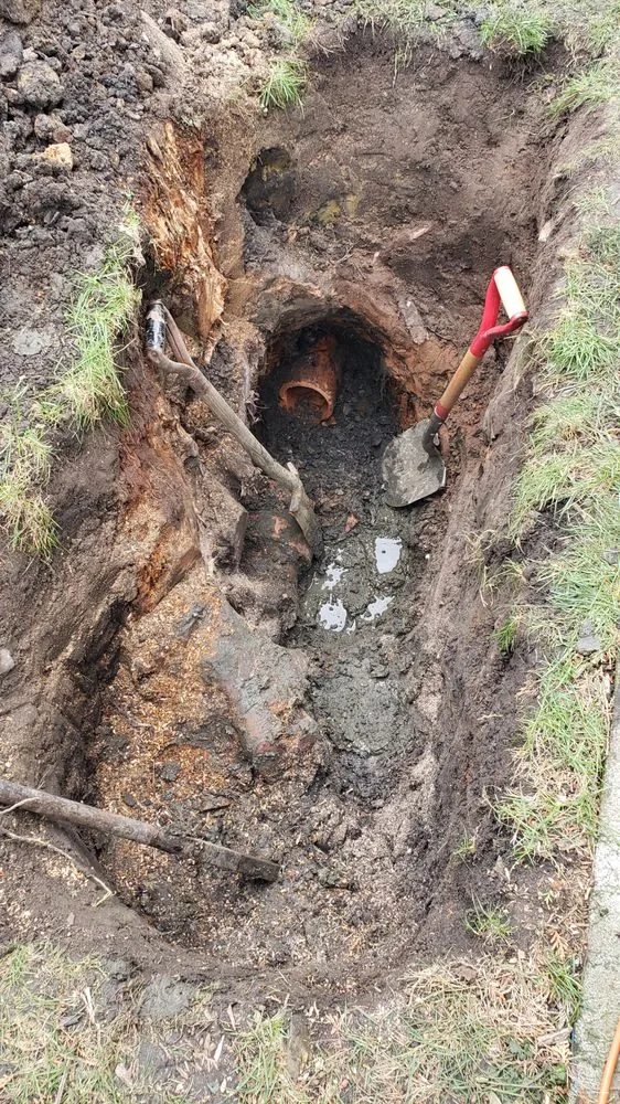 Professional drain cleaning service in Round Lake Beach, IL - Carlos & Brothers Plumbing & Sewer