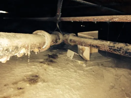 Carmel Valley Plumbers Logo