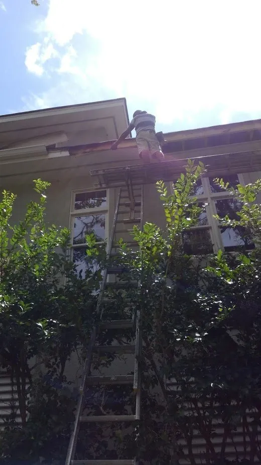 Slide of Carolina Construction