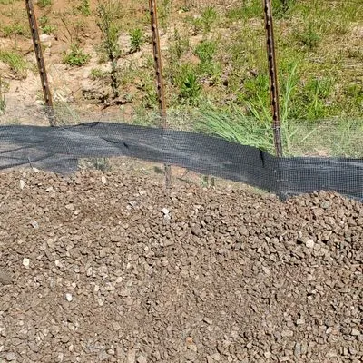 Carolina Land Specialist