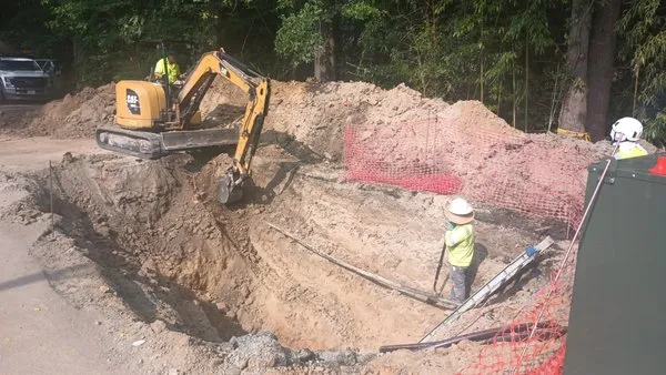 Carolina lawn and trench