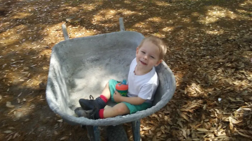 Slide of Carpenter's Remodeling