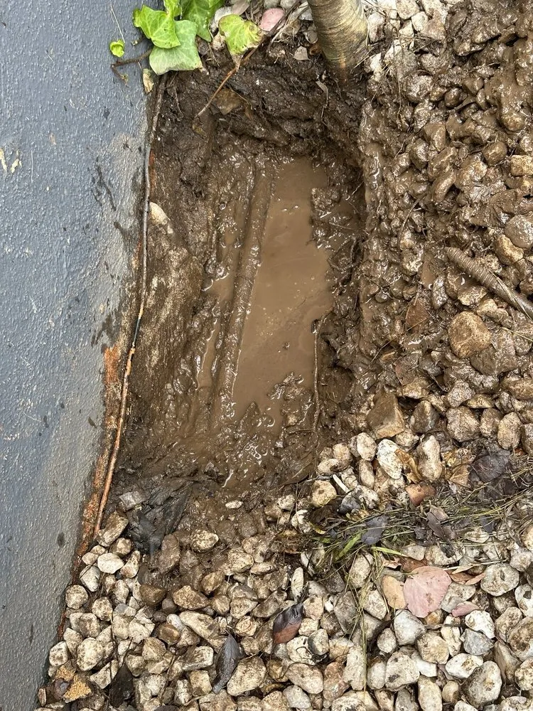 Slide of Carrera's Plumbing