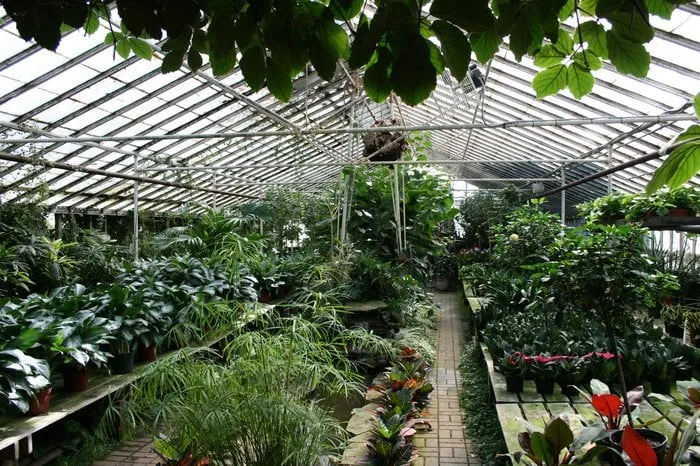 Slide of Carrillo Plumbing