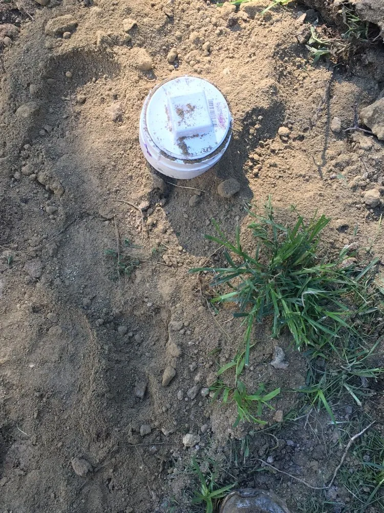 Slide of Carroll & Sons