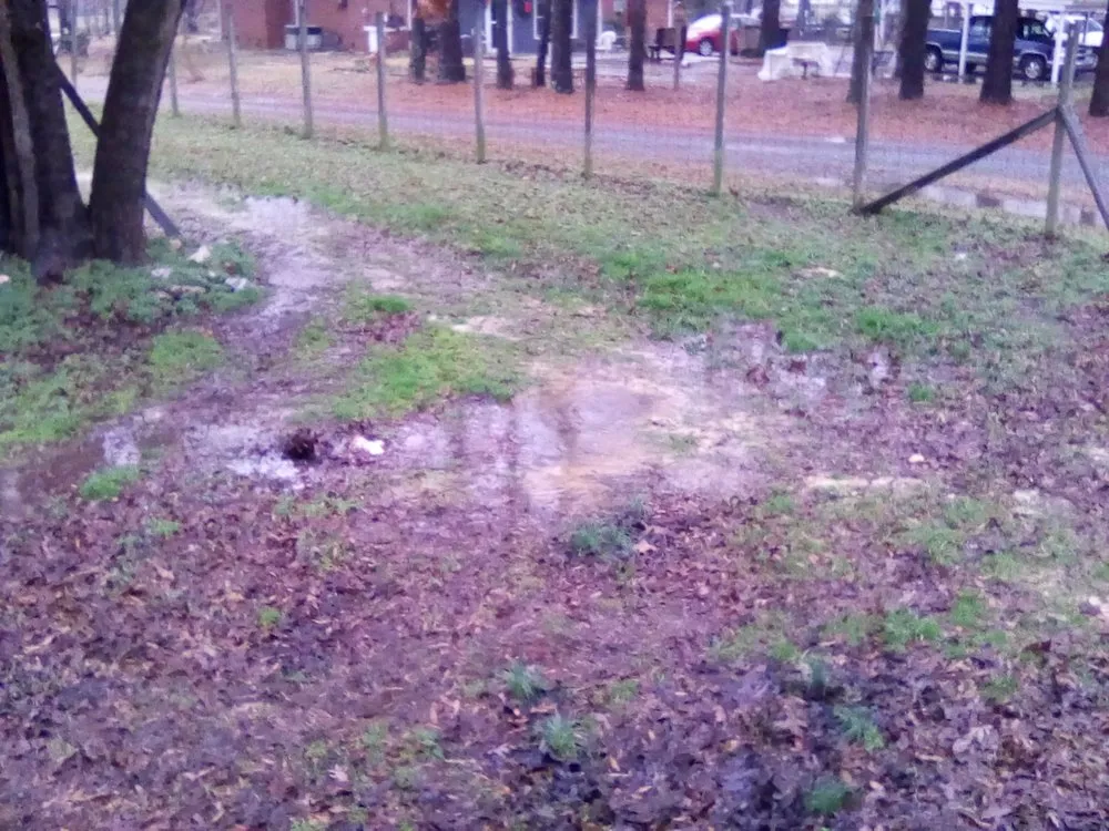 Slide of Carter Quality Plumbing