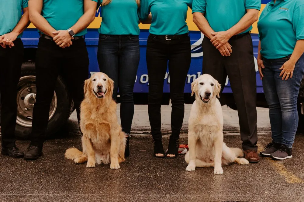 Slide of Carter's My Plumber