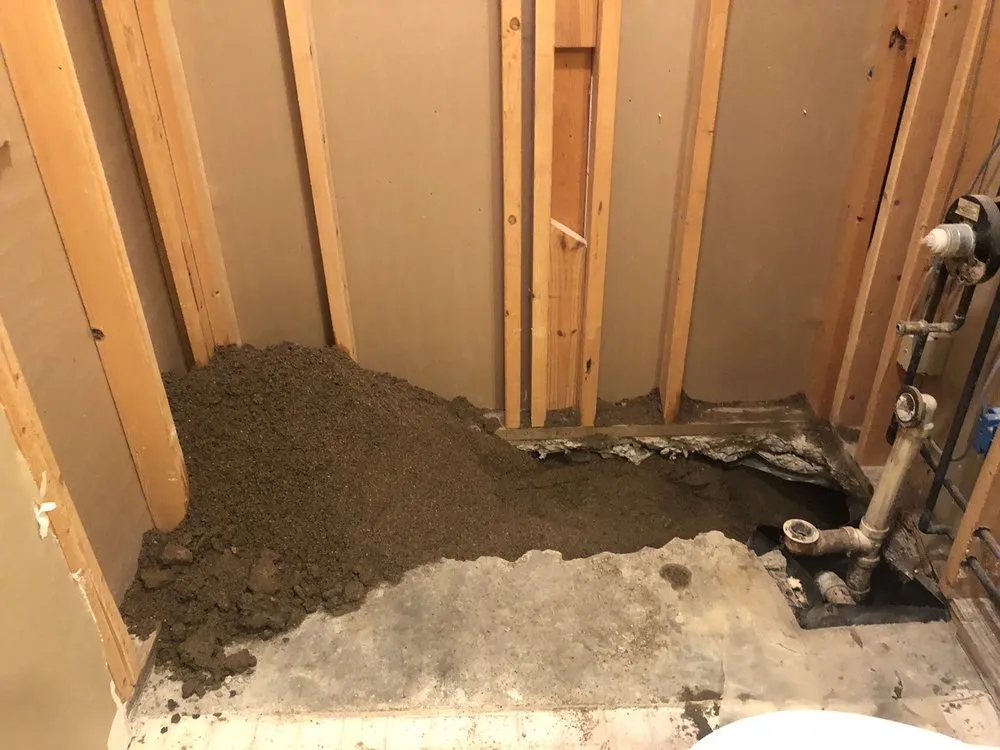 Slide of Carter's My Plumber