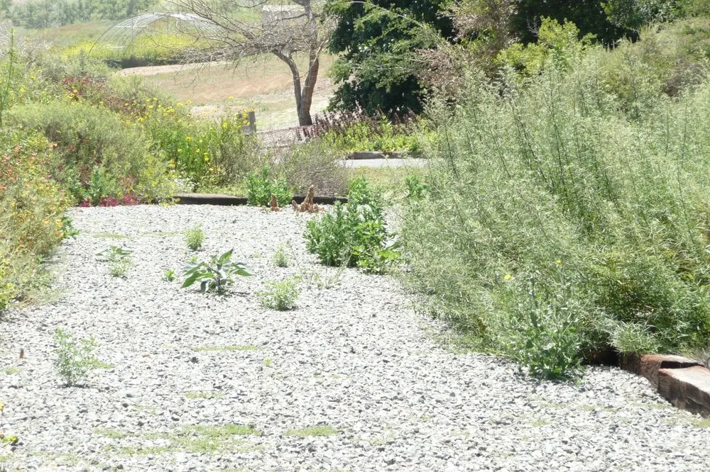 Slide of Carti's Plumbing