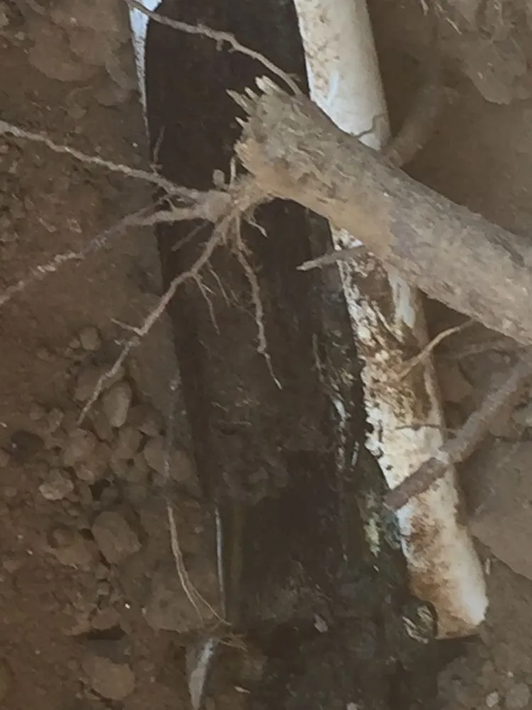 Slide of Cartrights Drain Services