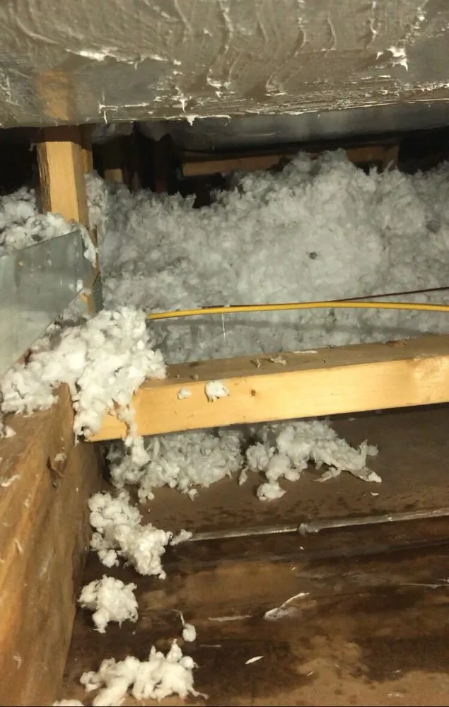 Quality leak detection for homes in Round Rock, TX by Casa Mechanical Services