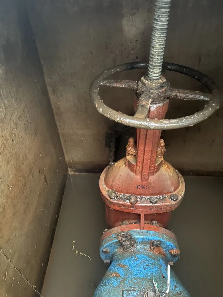 Slide of Cassidy's Plumbing