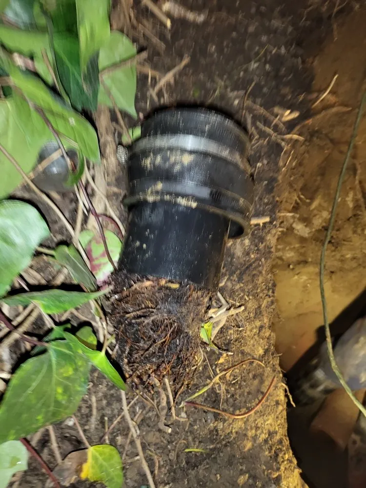 Slide of Castaneda's Plumbing