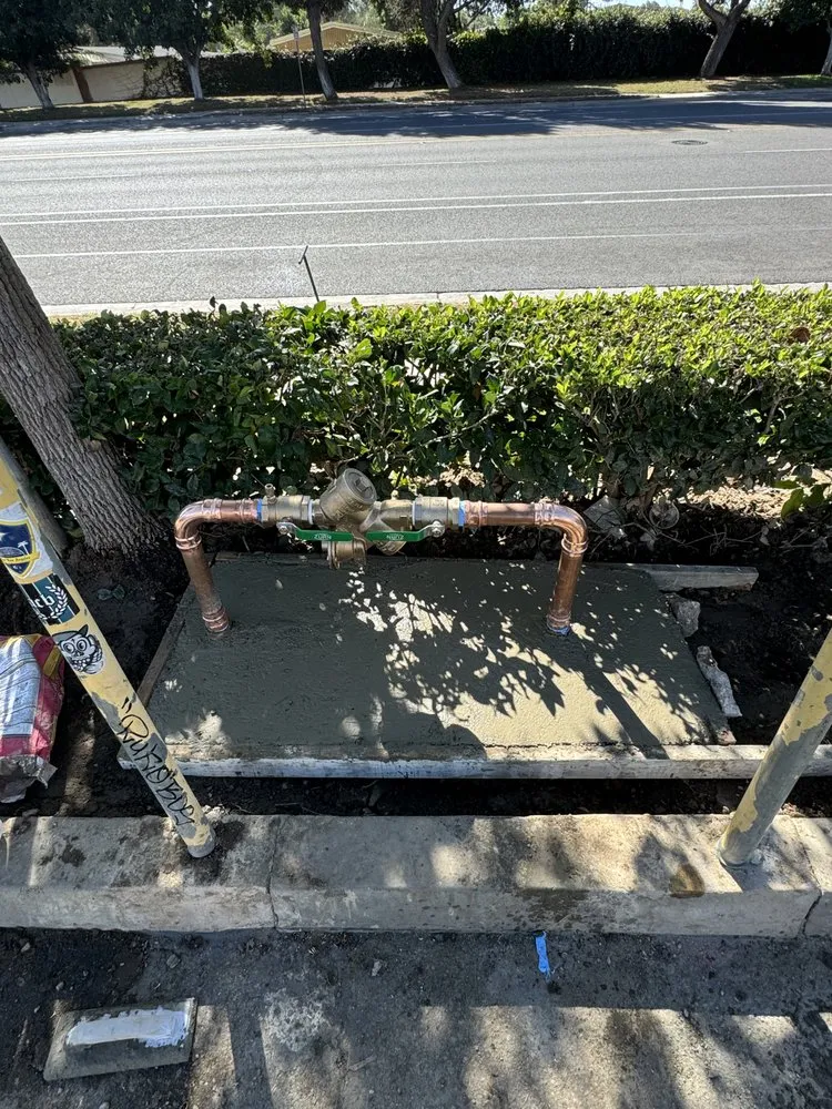 Slide of Castaneda's Plumbing