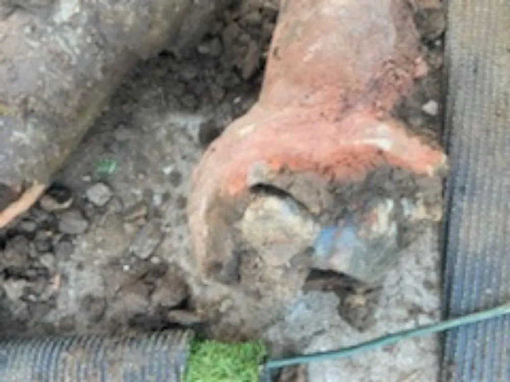 Slide of Castaneda's Plumbing