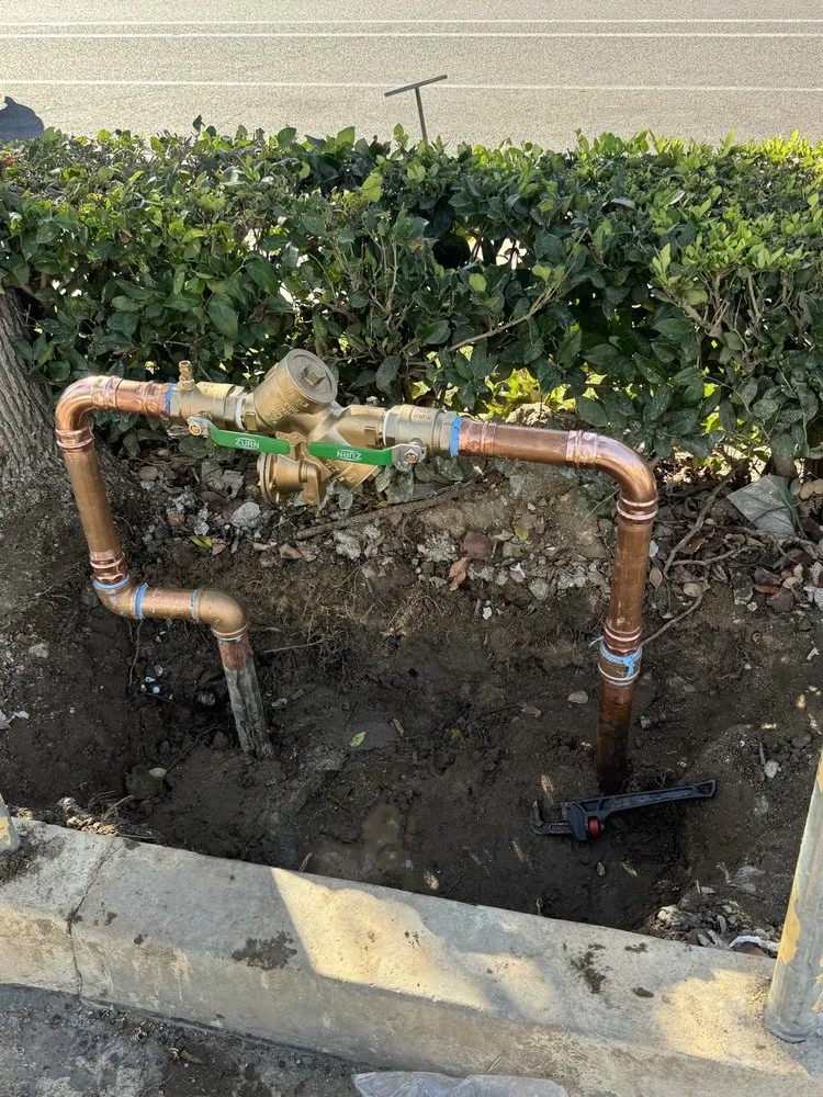 Slide of Castaneda's Plumbing