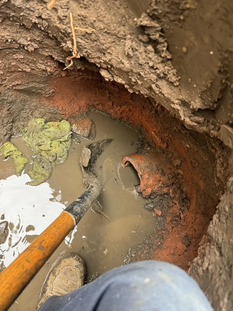 Slide of Castaneda's Plumbing