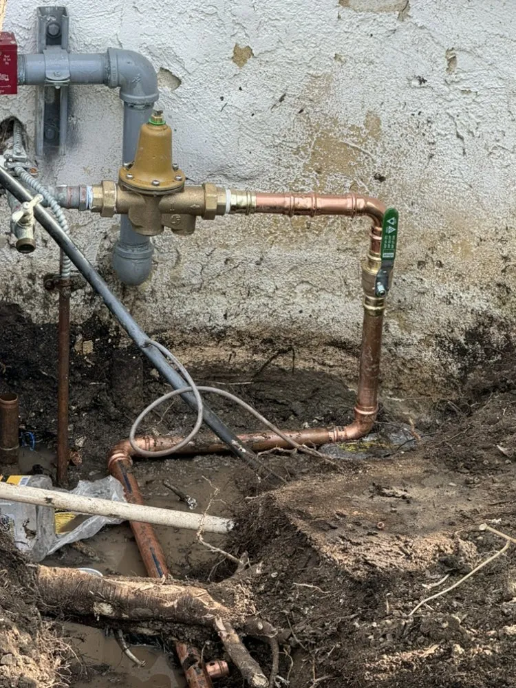 Slide of Castaneda's Plumbing