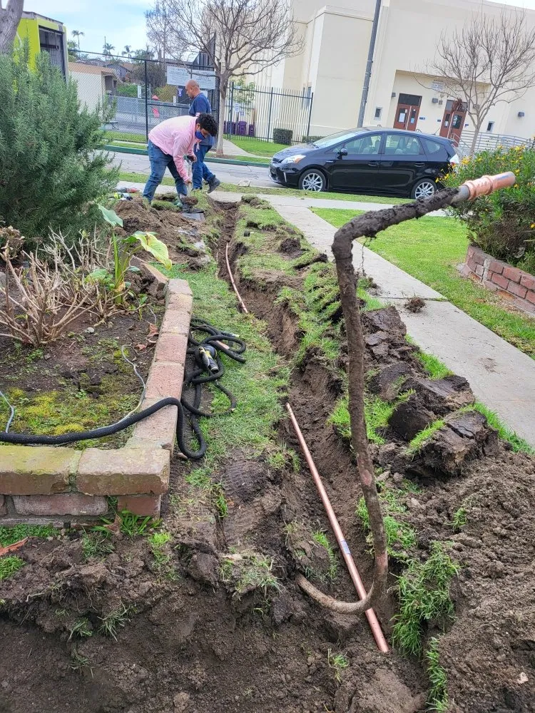 Slide of Castaneda's Plumbing