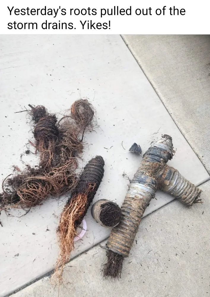 Slide of Castello Plumbing and Drain Service