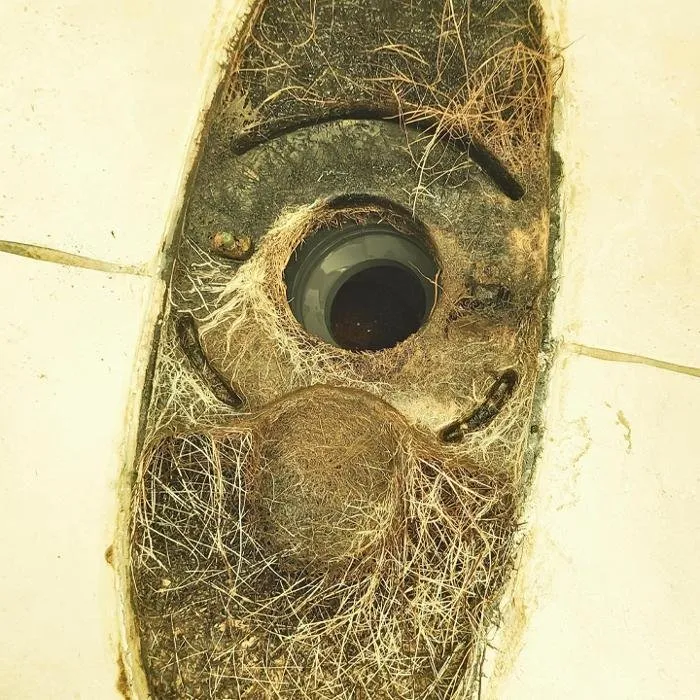 Slide of Castillo's Plumbing