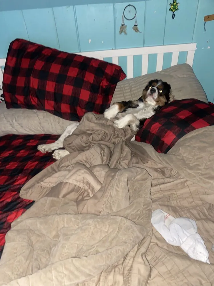 Affordable water heater service service in Minneapolis, MN - Castle Masters Mechanical