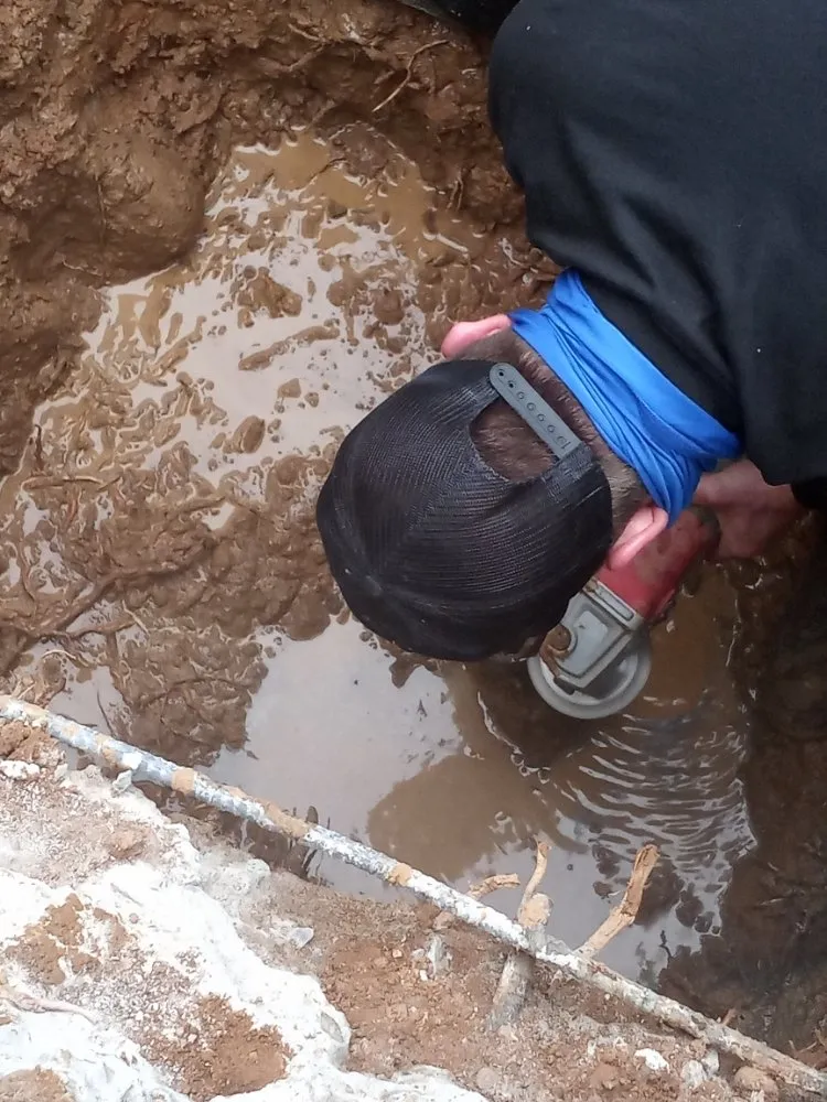 Slide of Castro Clear Vision