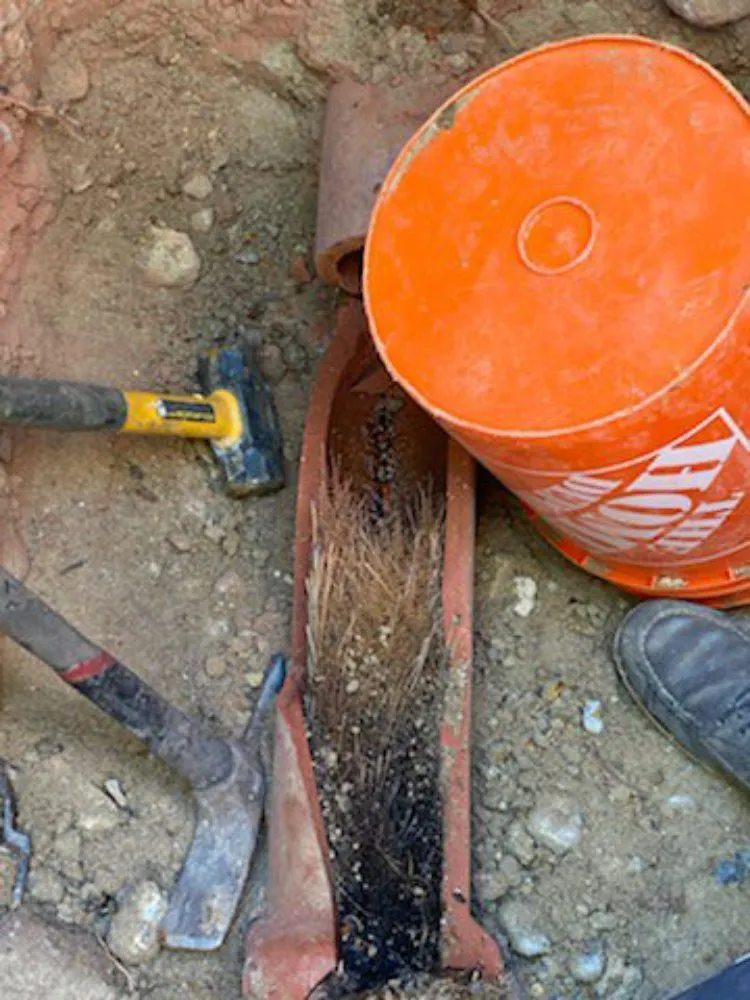 Slide of Castro Clear Vision