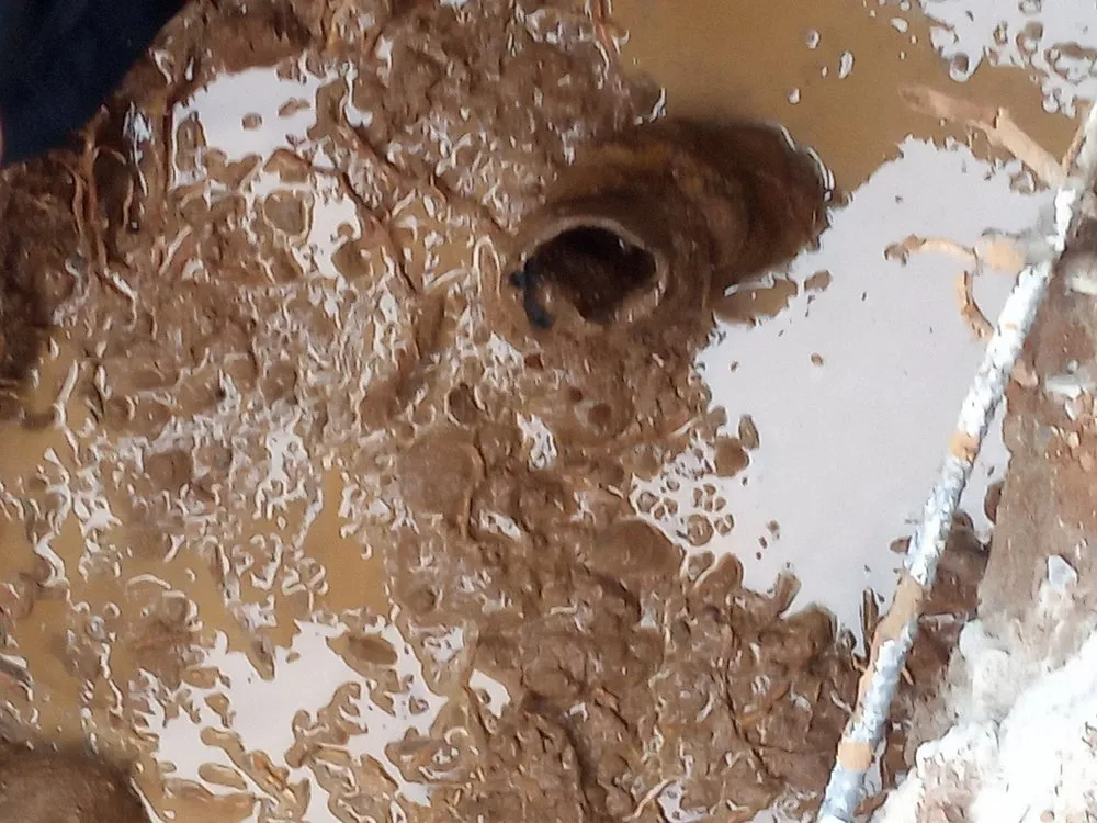 Slide of Castro Clear Vision