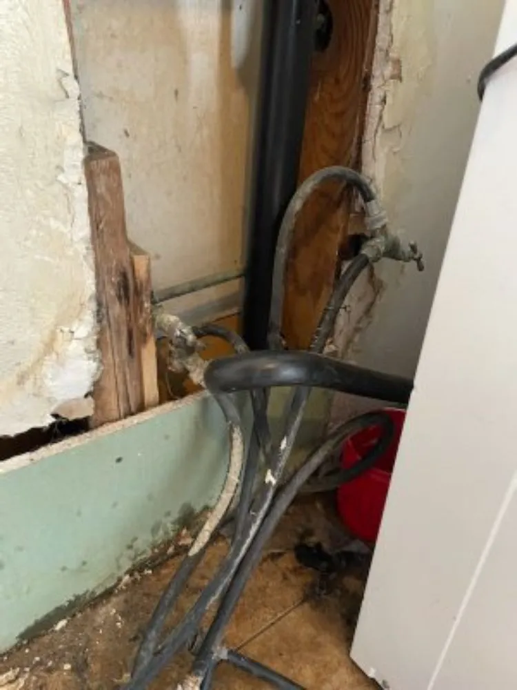 Slide of Castro Clear Vision