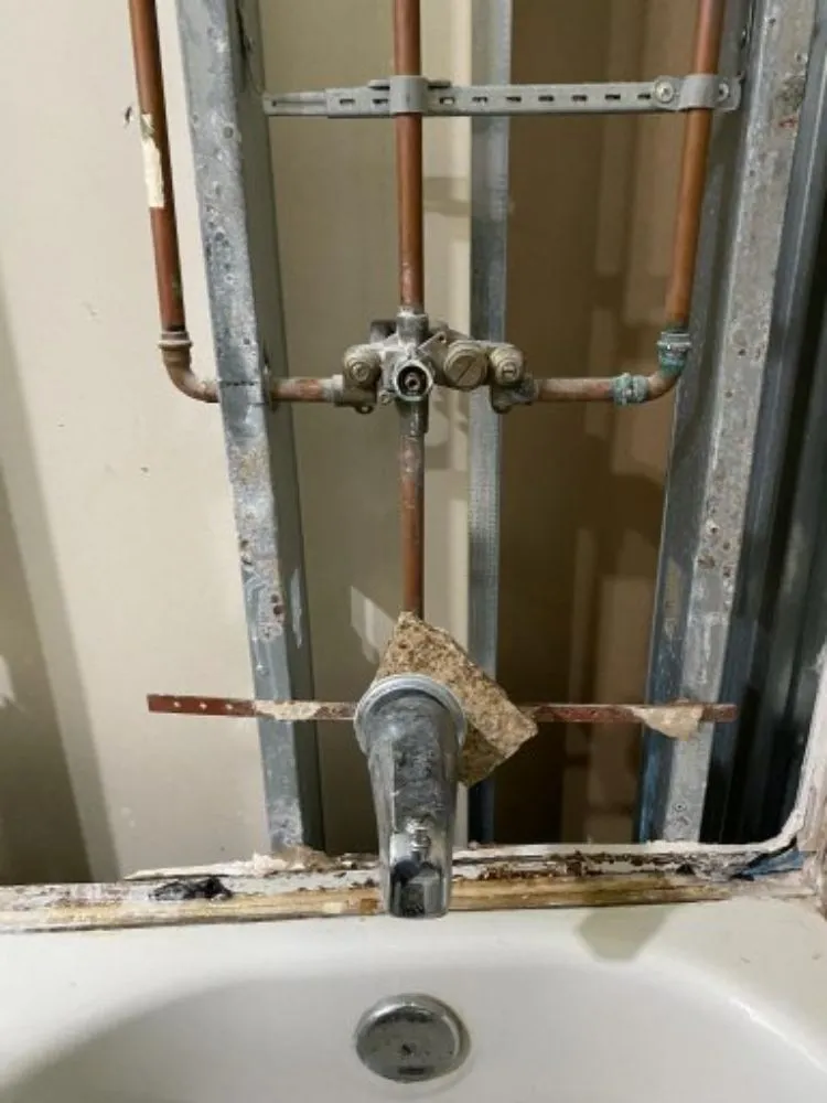 Slide of Castro Clear Vision